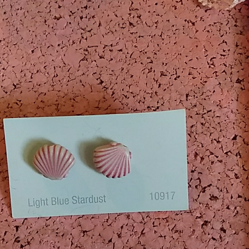 Handmade Seashell stud earings